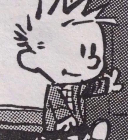 Calvin and Hobbes - Topsy Turvy
