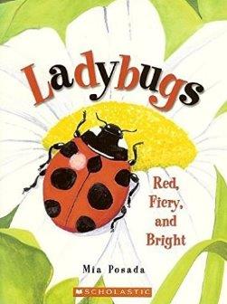 Ladybugs: Red, Fiery and Bright
