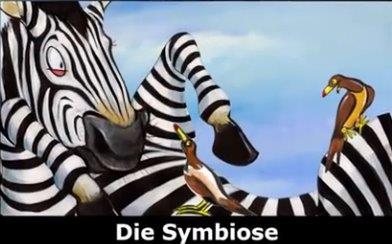 Die Symbiose