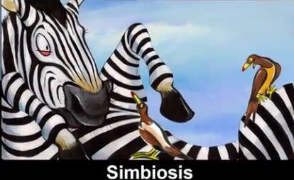 Simbiosis