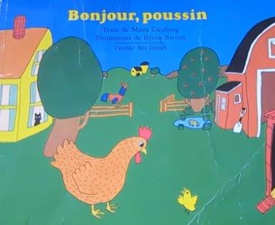 Bonjour, poussin