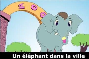 Un elephant dans le ville