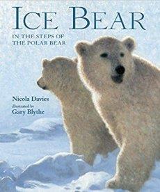 Ice Bear: In the Steps of the Polar Bear