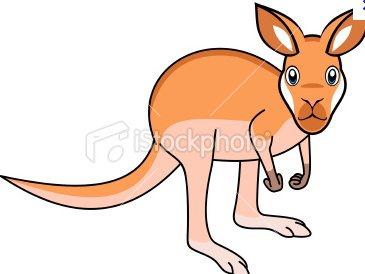 Kangaroo