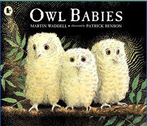 Owl Babies